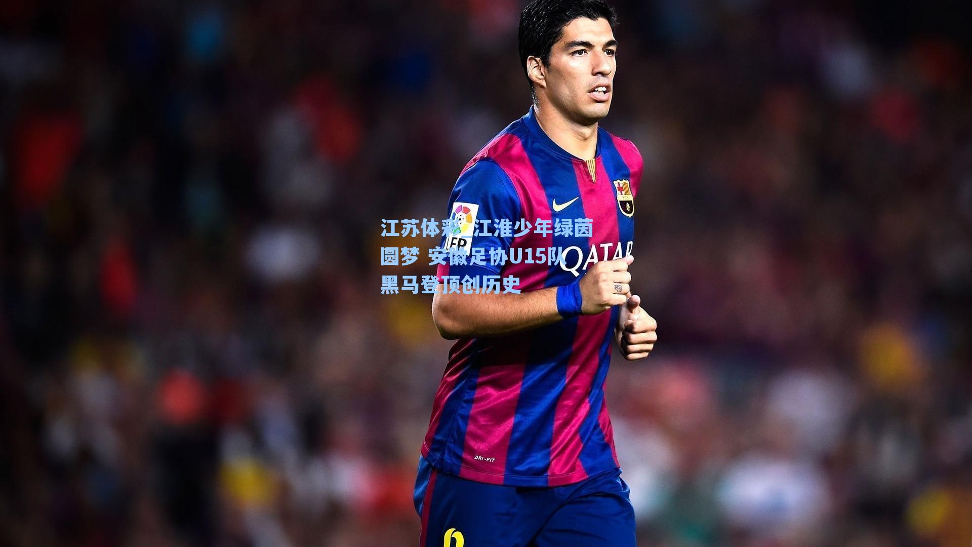 江淮少年绿茵圆梦 安徽足协U15队黑马登顶创历史