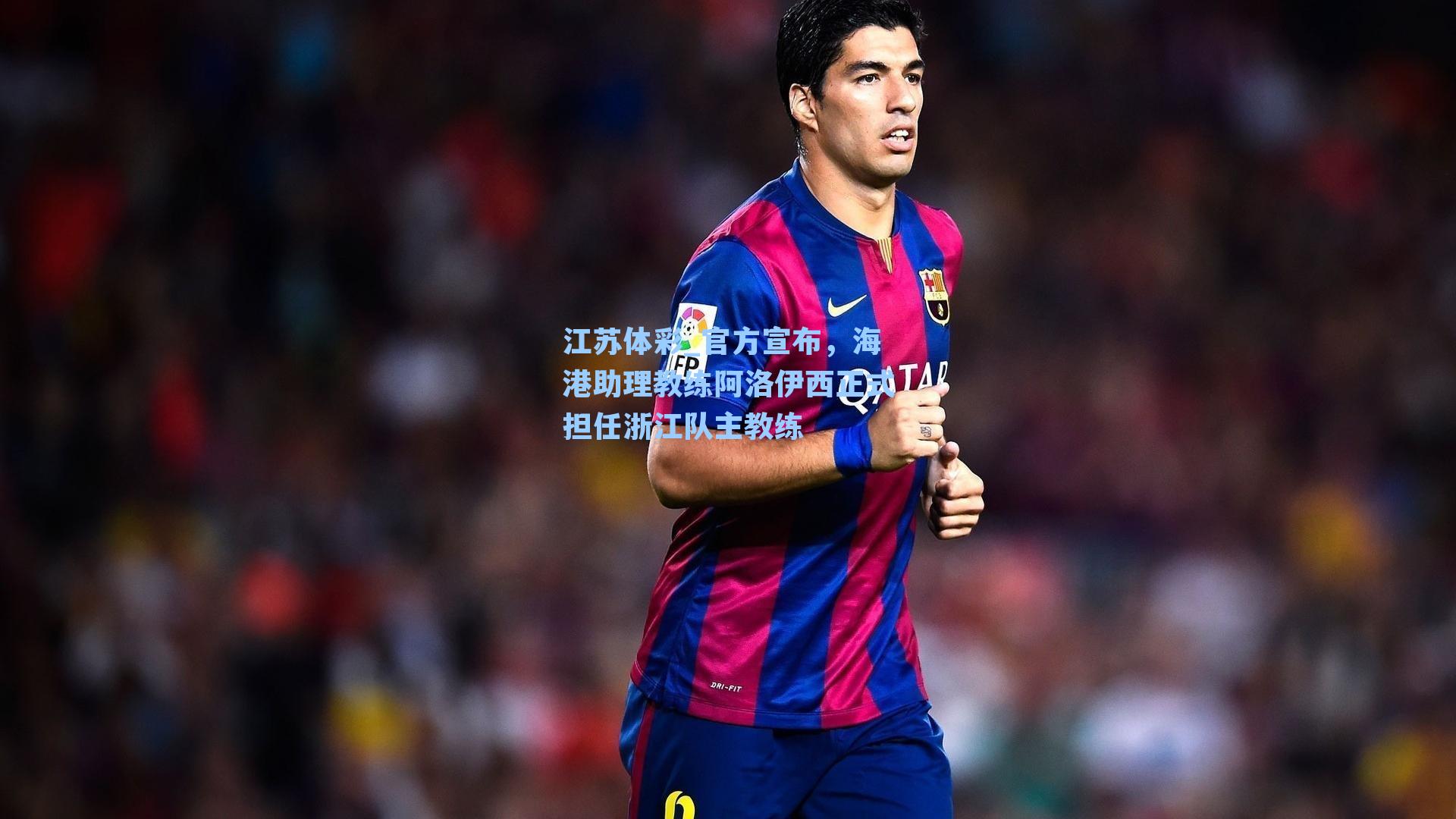 官方宣布，海港助理教练阿洛伊西正式担任浙江队主教练